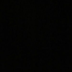 Meet your Posher, Kesha