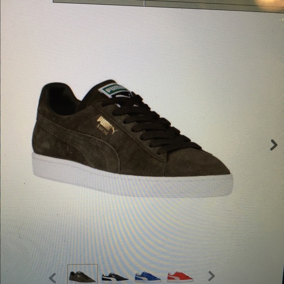 Meet your Posher, Larry - Picture 1 of 1