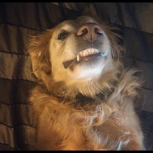 Meet your Posher, Ashton