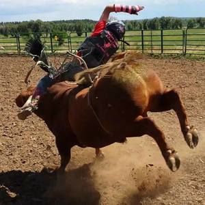 Meet your Posher, Travis