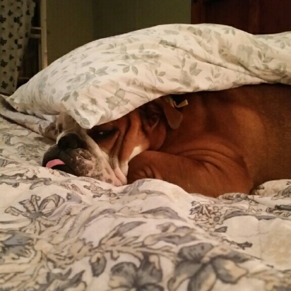 Meet your Posher, Lori - Picture 2 of 2