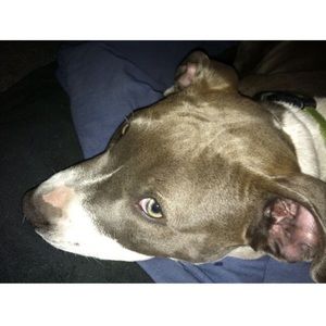 Meet your Posher, Joanne