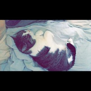 Meet your Posher, Leah