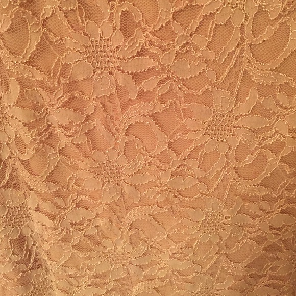 Light Pink/Nude Lace Dress - Picture 4 of 4