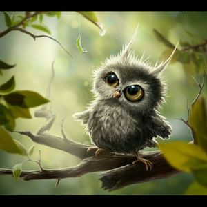 Meet your Posher, Barbara