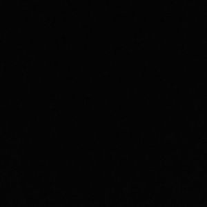 Meet your Posher, Shade