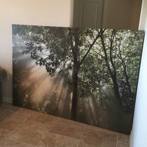 Meet your Posher, Nora