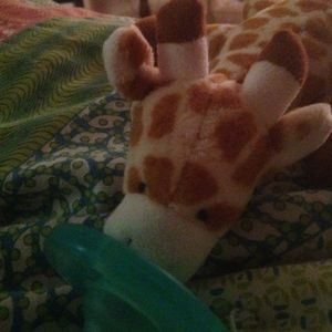 Meet your Posher, Katy