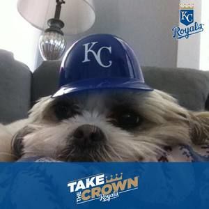 Meet your Posher, Carmen