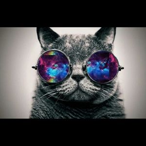 Meet your Posher, Karley