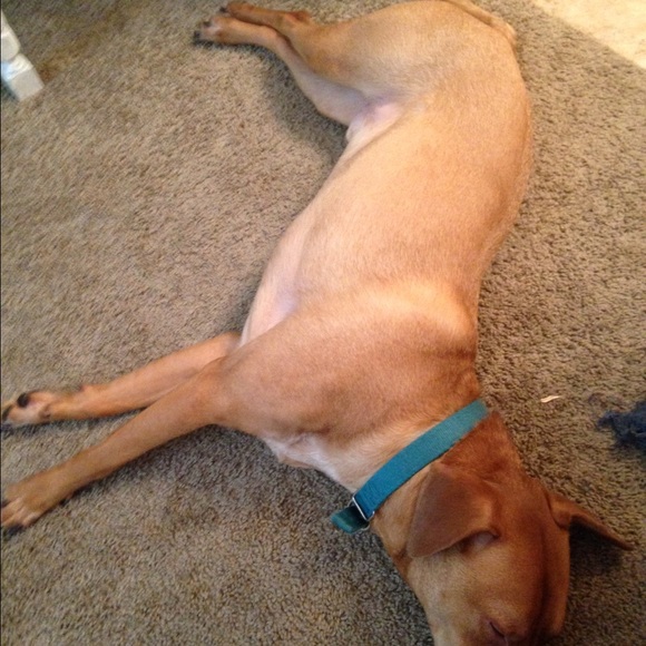 Meet your Posher, Mackenzie