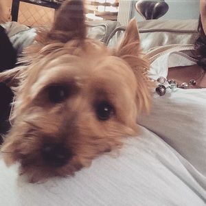 Meet your Posher, Alyson