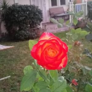 Meet your Posher, Chenelle