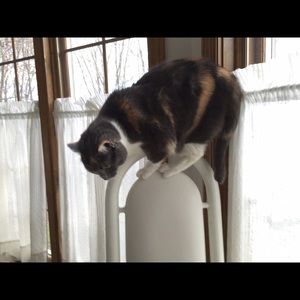 Meet your Posher, Lynn