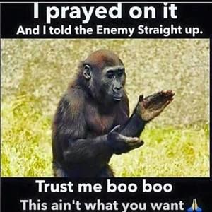 Meet your Posher, Antoinette