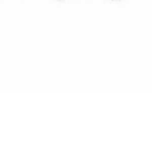 Meet your Posher, Jerrinia