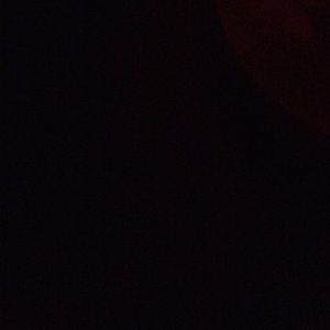 Meet your Posher, Meagan