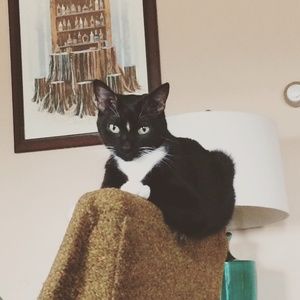 Meet your Posher, Hilary