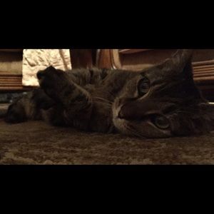 Meet your Posher, Addie