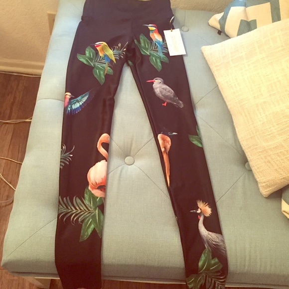 Goldsheep Limited Edition Leggings
