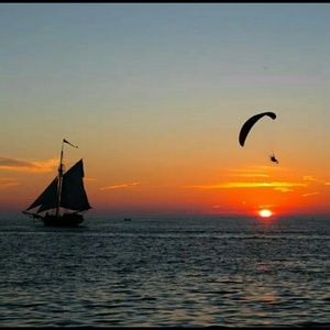 Meet your Posher, Coryann