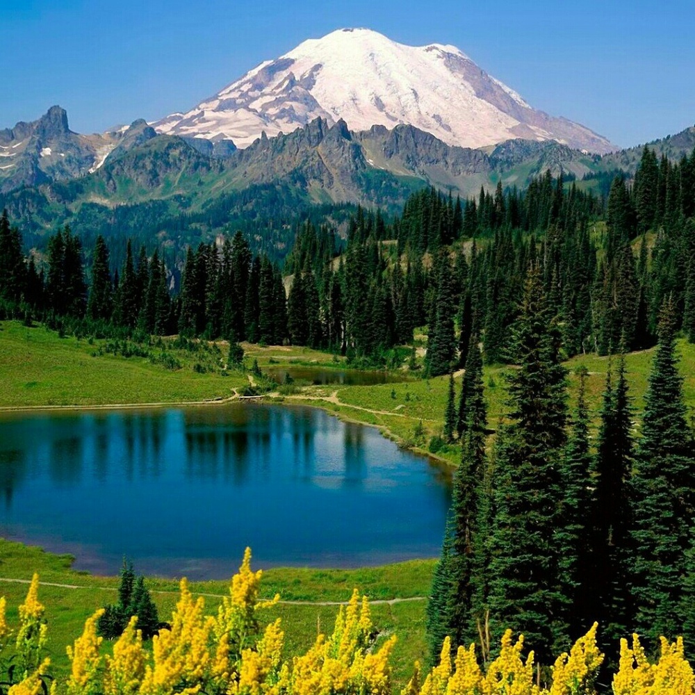 Meet your Posher, Kara