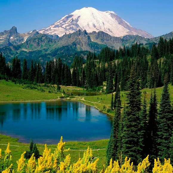 Meet your Posher, Kara - Picture 1 of 1