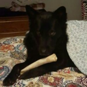 Meet your Posher, Leeann