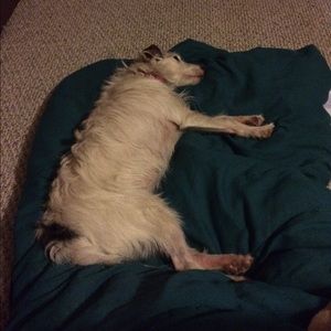 Meet your Posher, Dominique