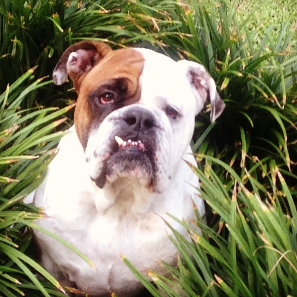 Meet your Posher, Amanda - Picture 1 of 1