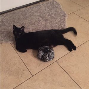 Meet your Posher, Stacy