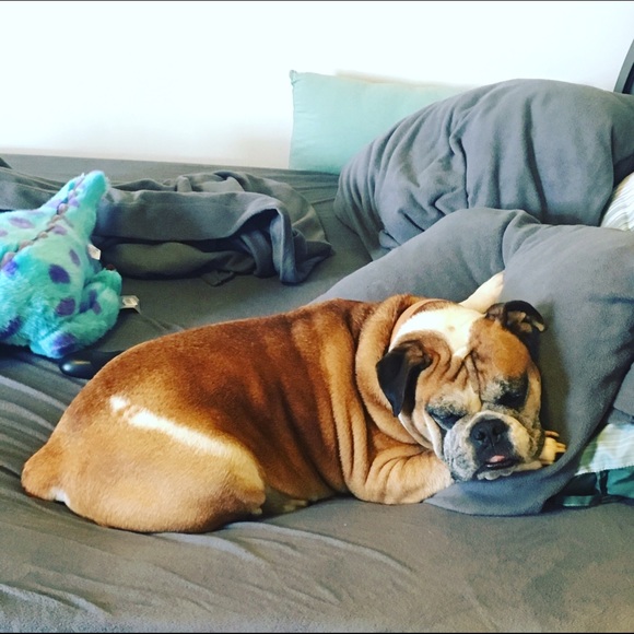 Meet your Posher, Katrina - Picture 2 of 2