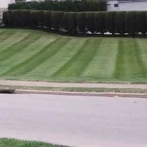 Meet your Posher, Leroy