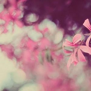 Meet your Posher, Abbie