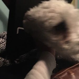 Meet your Posher, Brooke