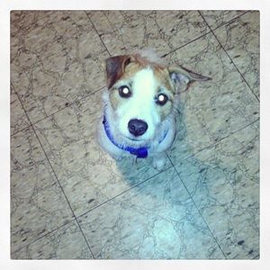 Meet your Posher, Dana