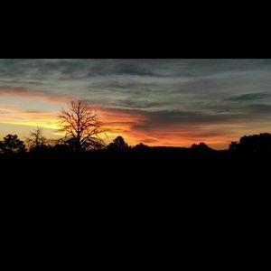 Meet your Posher, Juliana