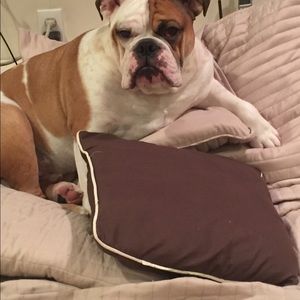 Meet your Posher, Deborah