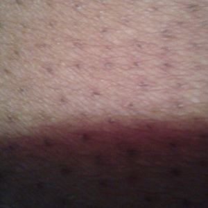 Meet your Posher, Mildred