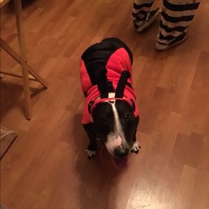 Meet your Posher, Kelly