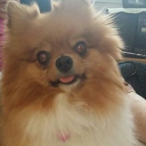 Meet your Posher, Terrie