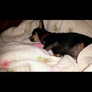 Meet your Posher, Arlene