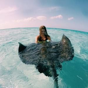 Meet your Posher, Avery