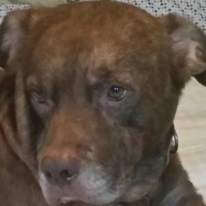 Meet your Posher, Charles