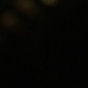 Meet your Posher, Sasha