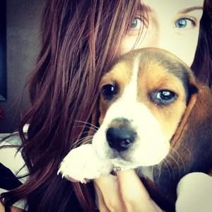 Meet your Posher, Brittany ellena