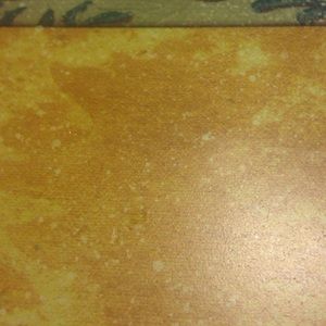 Meet your Posher, Trina