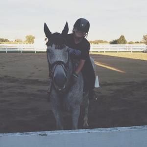 Meet your Posher, Harley