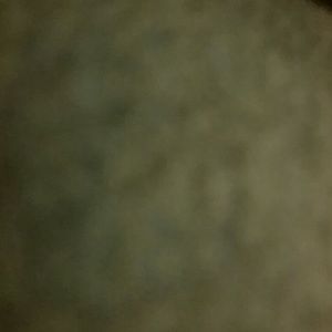 Meet your Posher, Damien