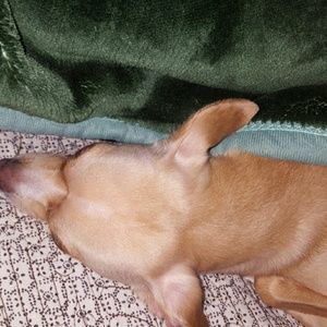 Meet your Posher, Nancy